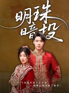 明珠暗投