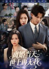 离婚当天世上再无我