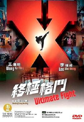 终极格斗（粤语）