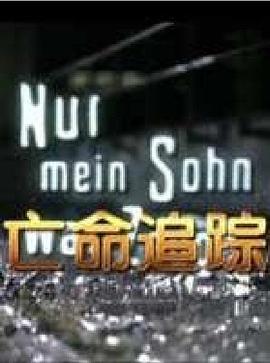 亡命追踪（）