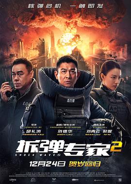拆弹专家2 ()