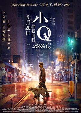 小Q()