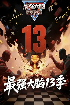 最强大脑第十三季（加更版）