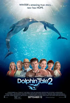 海豚的故事2[电影解说]
