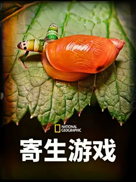 寄生游戏第一季版