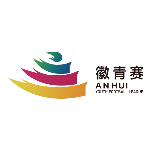 安徽省青少年足球联赛 合肥VS芜湖20260912